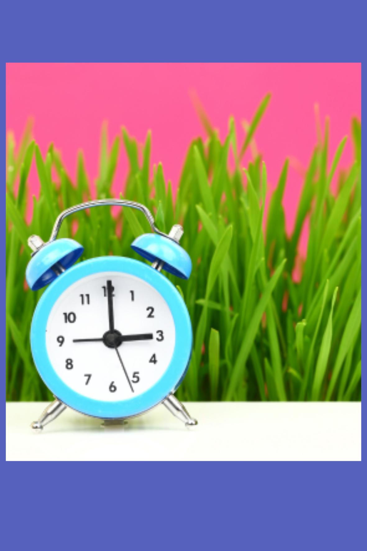 reloj azul con fondo de hierba verde